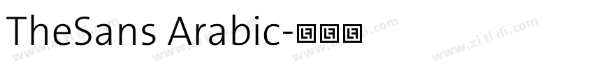 TheSans Arabic字体转换 TheSans Arabic字体转换